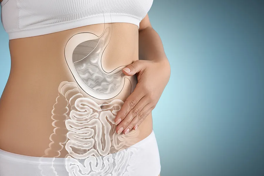 Gut-Health-Doctor Close up of the midriff of a woman with white underwear and an illustration of the digestive system superimposed over the image. Get help for digestive issues and gut health from Dr. Stephanie King in Salt Lake City.