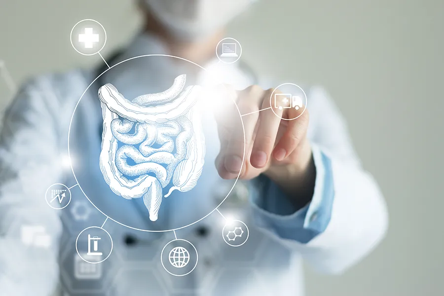 Microbiome-Testing-Clinic A clinician interacts with a 3D illustration of a digestive system. Schedule microbiome testing from Dr. Stephanie King in Salt Lake City.