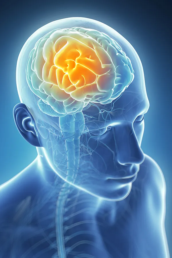 Migraine-Treatment 3D illustration of the brain with glowing pain center. Dr. Stephanie King treats migraines using functional medicine in Salt Lake City.