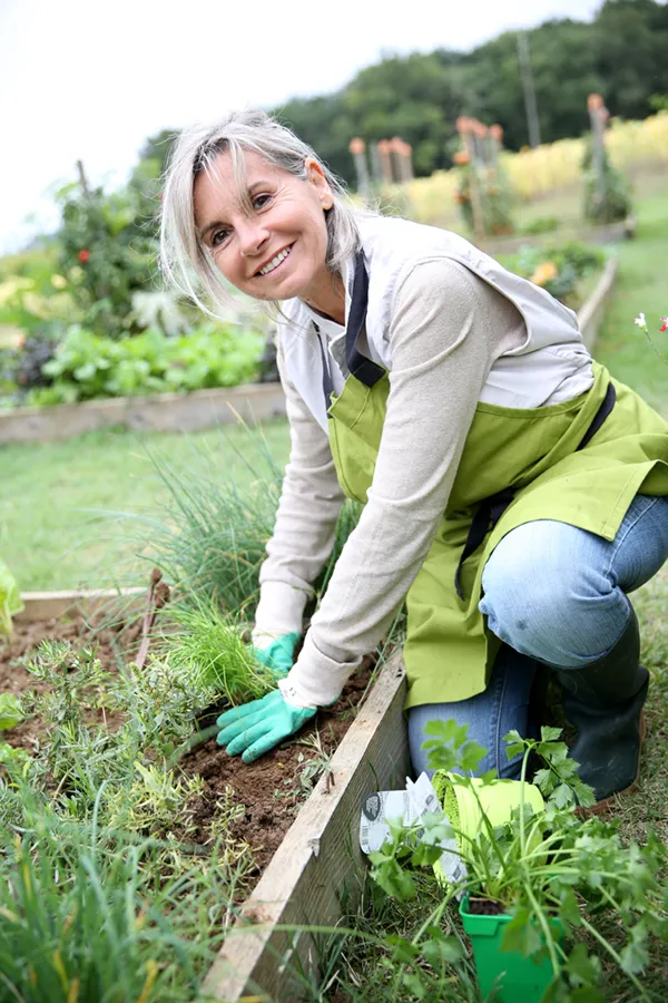 Rheumatoid-Arthritis-Treatment A mature woman bending down working on her garden happily after successful rheumatoid arthritis treatment from Dr. Stephanie King in Salt Lake City.